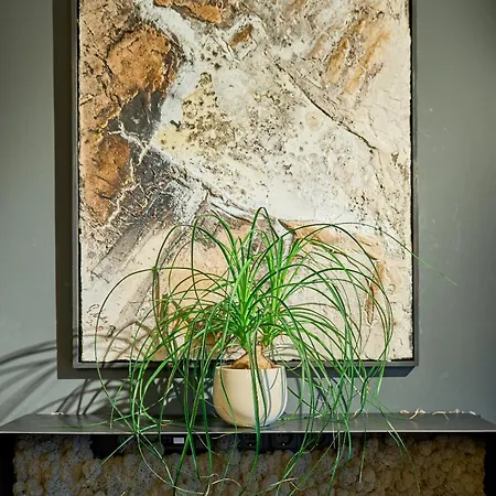 Apartament Charmante Fuer 2 Personen In Zentrumsnaehe X Parkplatz X Coworking-arbeitsplaetze Im Haus Innsbruck