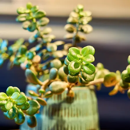 Charmante Wohnung Fuer 2 Personen In Zentrumsnaehe X Parkplatz X Coworking-Arbeitsplaetze Im Haus