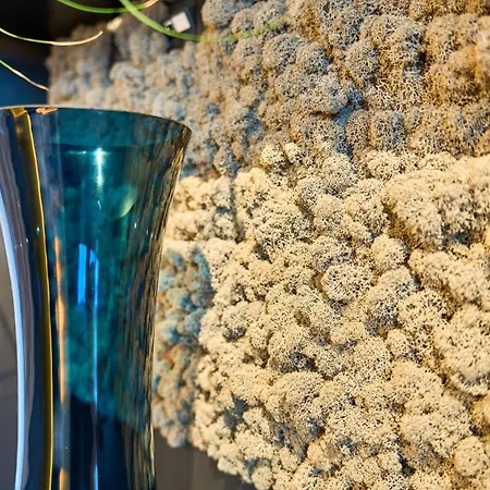 Appartement Charmante Wohnung Fuer 2 Personen In Zentrumsnaehe X Parkplatz X Coworking-Arbeitsplaetze Im Haus *